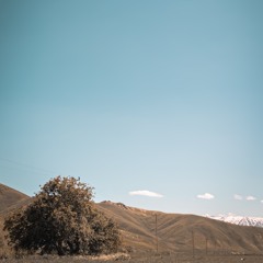 Serdar Canan-Emê Gozê