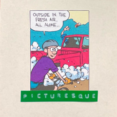 picturesque