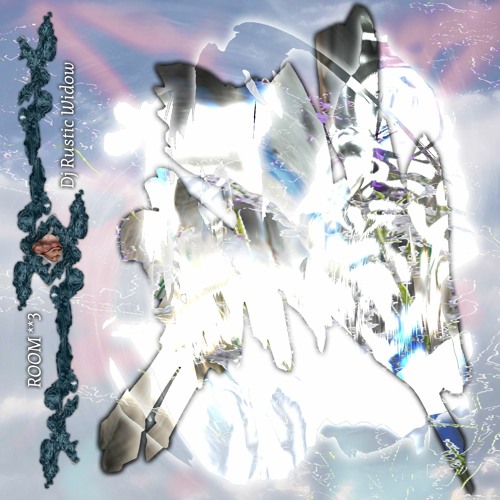 ROOM**3 Dj Rustic Widow