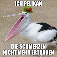 Neue Deutsche Säge | Pelican Tool 2025