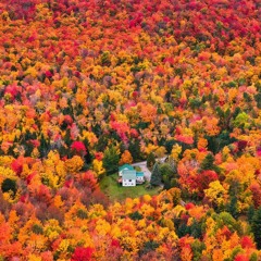 Liquid Drum and Bass Mix - Autumn 2025
