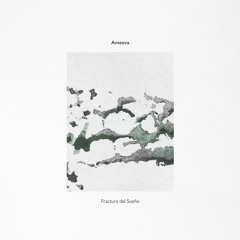 Premiere: Ameeva - Hidden Inertia [Lowless]
