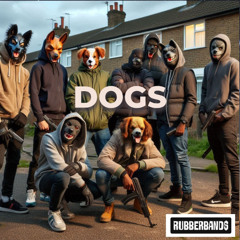 dogs