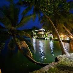 Drinking Kava At Da Shore.mp3