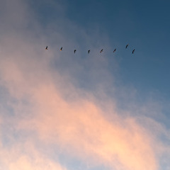 Delusions of Grandeur