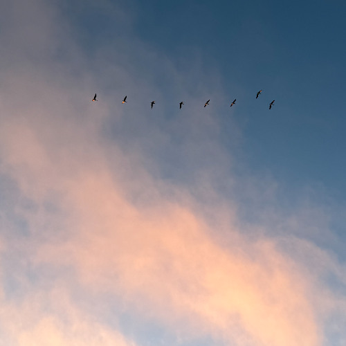 Delusions of Grandeur