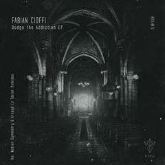 Fabian Cioffi - Pay The Price (Motion Symmetry Remix)