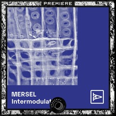PREMIERE: Mersel - Merged waves (Anechoic Remix) [AR011]