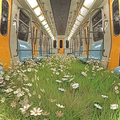 cracks w/joon lagoon (p.snaketwn)