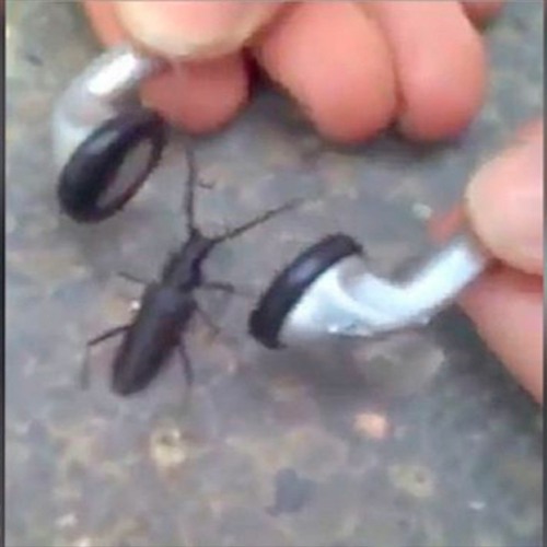 t̤̮r̤̮a̤̮x̤̮☆ﾟ.*･｡ﾟ