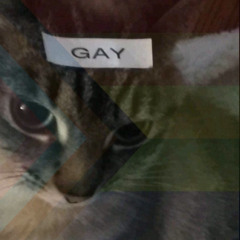 they/them beste Version (feat. @maybexyz)