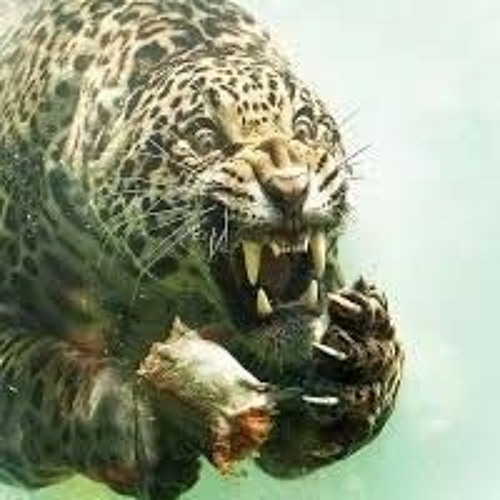 jaguar flow
