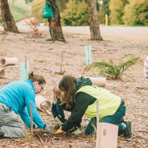 The Urgency of Landcare - Peter Stronach Interview with  Kylie Baxter, ABC Radio Drive Hobart