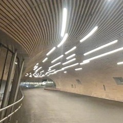 Tunnel Vision pt5 eq mud