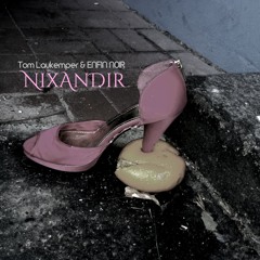 Tom Laukemper & ENFIN NOIR (vocals) - NixAnDir