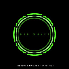 BDTom & NaeTek - Intuition / CuT version