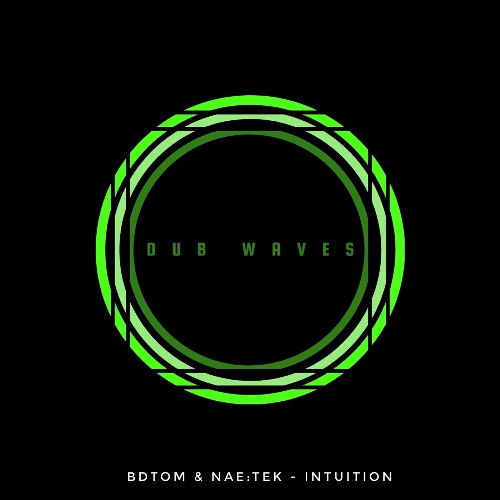 BDTom & NaeTek - Intuition / CuT version