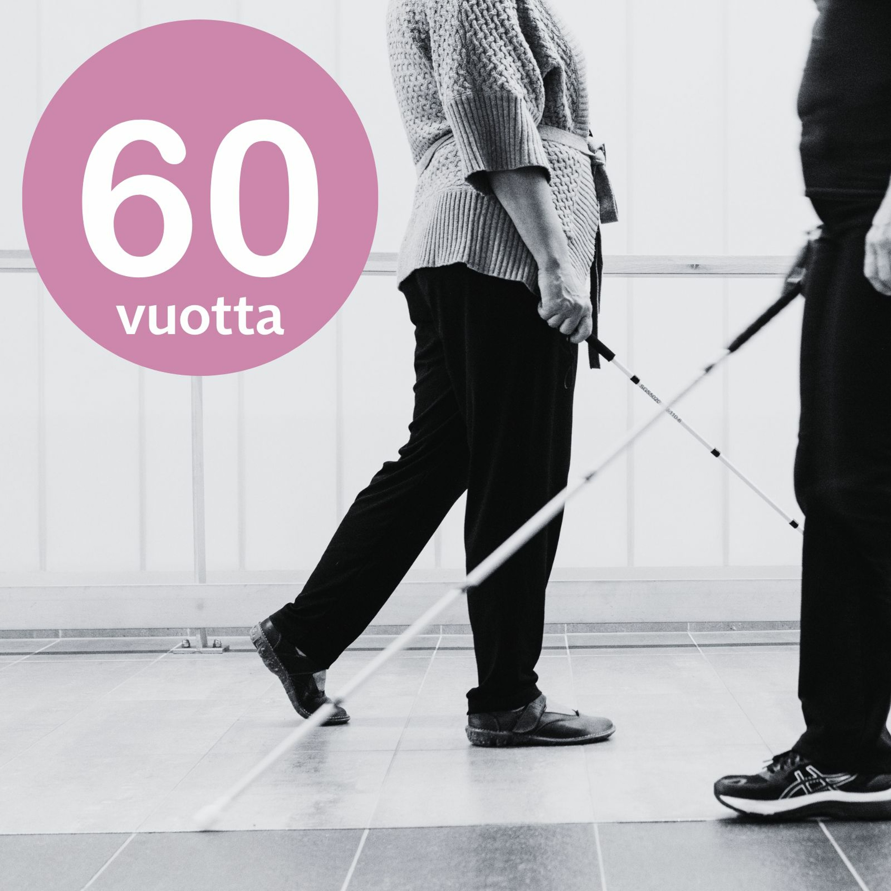 Näkövammaisten liitto