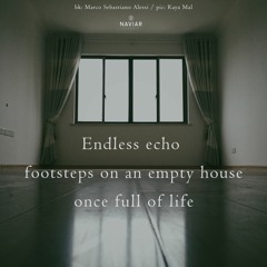 Endless Echo (naviarhaiku512)