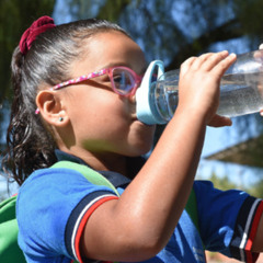 Three of world’s healthiest cities win awards for smoke-free parks, air quality, school lunches