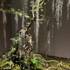 2blessed samples ft. raged + atalli + 4kboinear