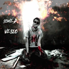 Veslo