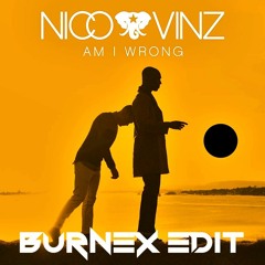 Nico & Vinz - Am I Wrong (Burnex Edit) (FILTERED FOR COPYRIGHT, HIT THE DOWNLOAD BUTTON)
