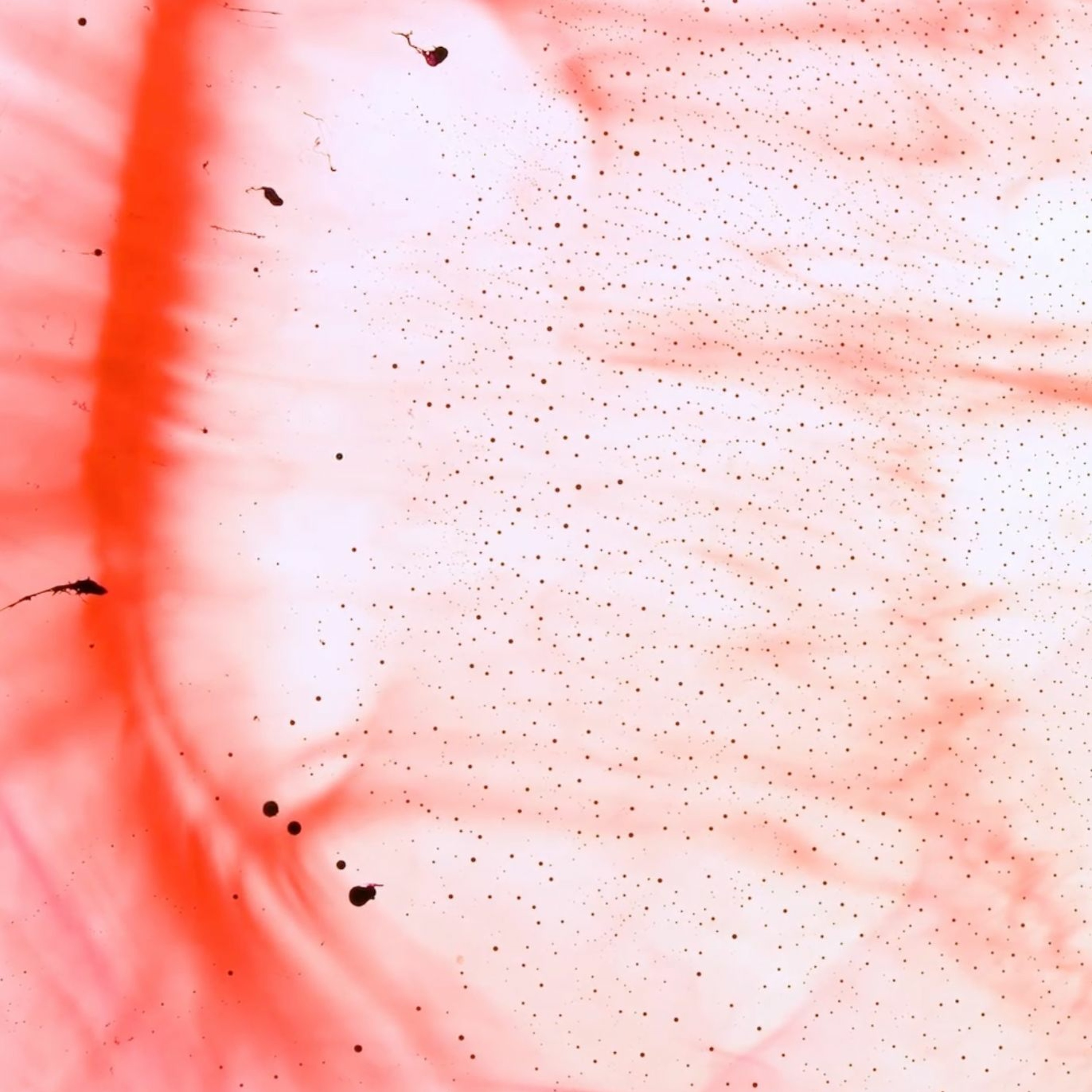 ANTIFRAGILE 10000000 episode artwork