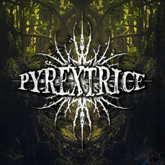 ShowCaseVol.2 PsyConfluence • 2023 DjSet by Pyrextrice