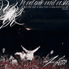 Mister Cool - Snook (LIMPAN House Remix)