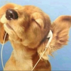 main playlist