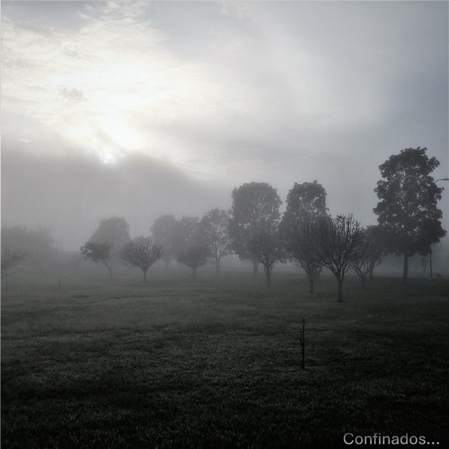 Confinados - 02 Imagine