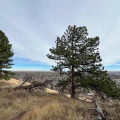 REC Live - 2024 - 01 - 12