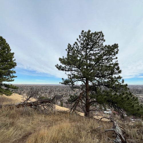 REC Live - 2024 - 01 - 12