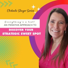 Everythings A Test  An Iterative Approach To Discovering Your Strategic Sweet Spot - Sound