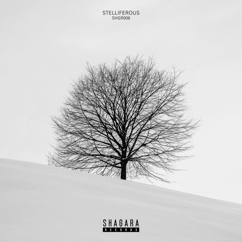 PREMIERE: Geist - Zero Input (Original Mix) [Shagara Records]