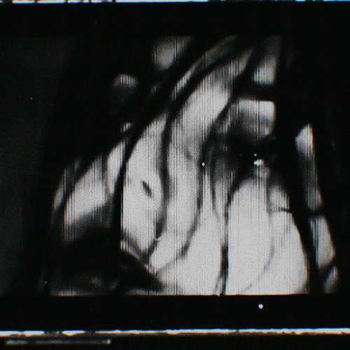 shallow
