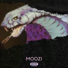 MOOZI X MVHBD
