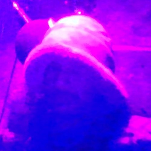 LO-FI