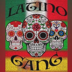 Dj HomeBoy - Latino Gang