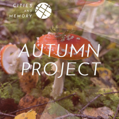 Mist Over Delay Fields