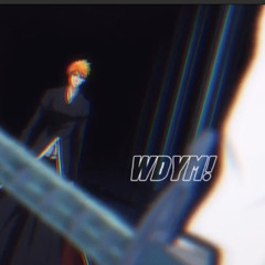 WDYM? by Armanibanz Remix