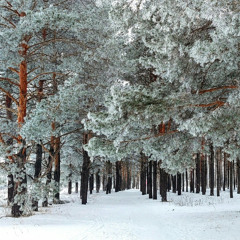 [주께서 내 기업이 되신다]수13:15-33