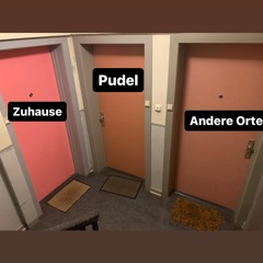 Zuhause - Pudel - Andere Orte (DJ MIx)