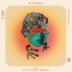 A-Tweed - Maguro Katsu (Carrot Green Remix) [Sabi]