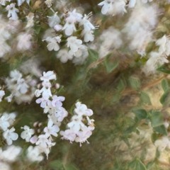 Impulsion @HomeAlone