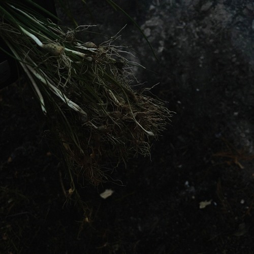 MY WEAKNESS, YOUR STRENGTH (prod.thorrill)