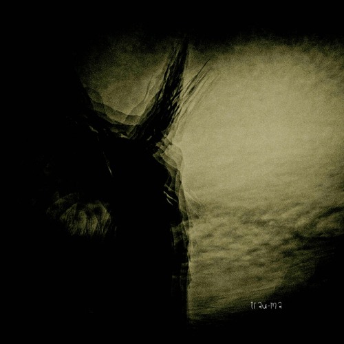 Sinister Wave - Succubus (Original Mix) [TRM283]