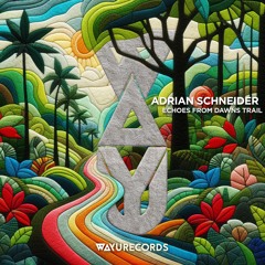 Premiere: Adrian Schneider - Reunion [WAYU Records]