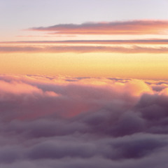 prodbycircus - VELVET